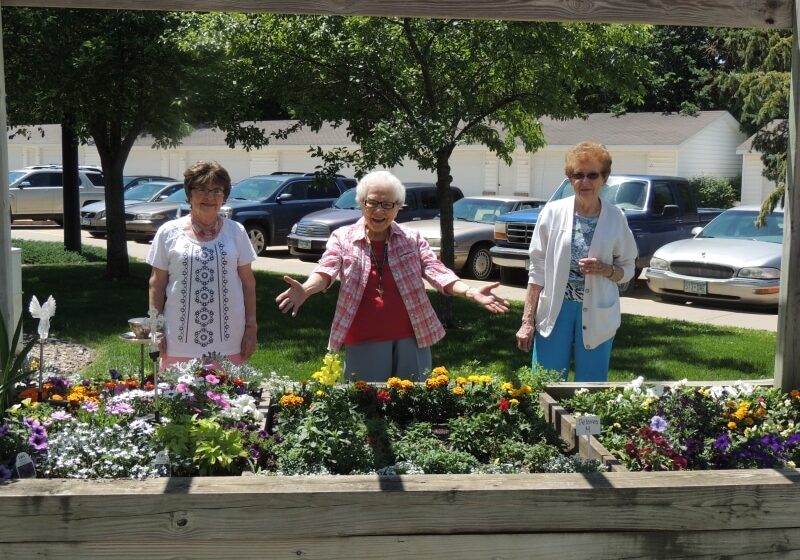 Elderly women by flower bed