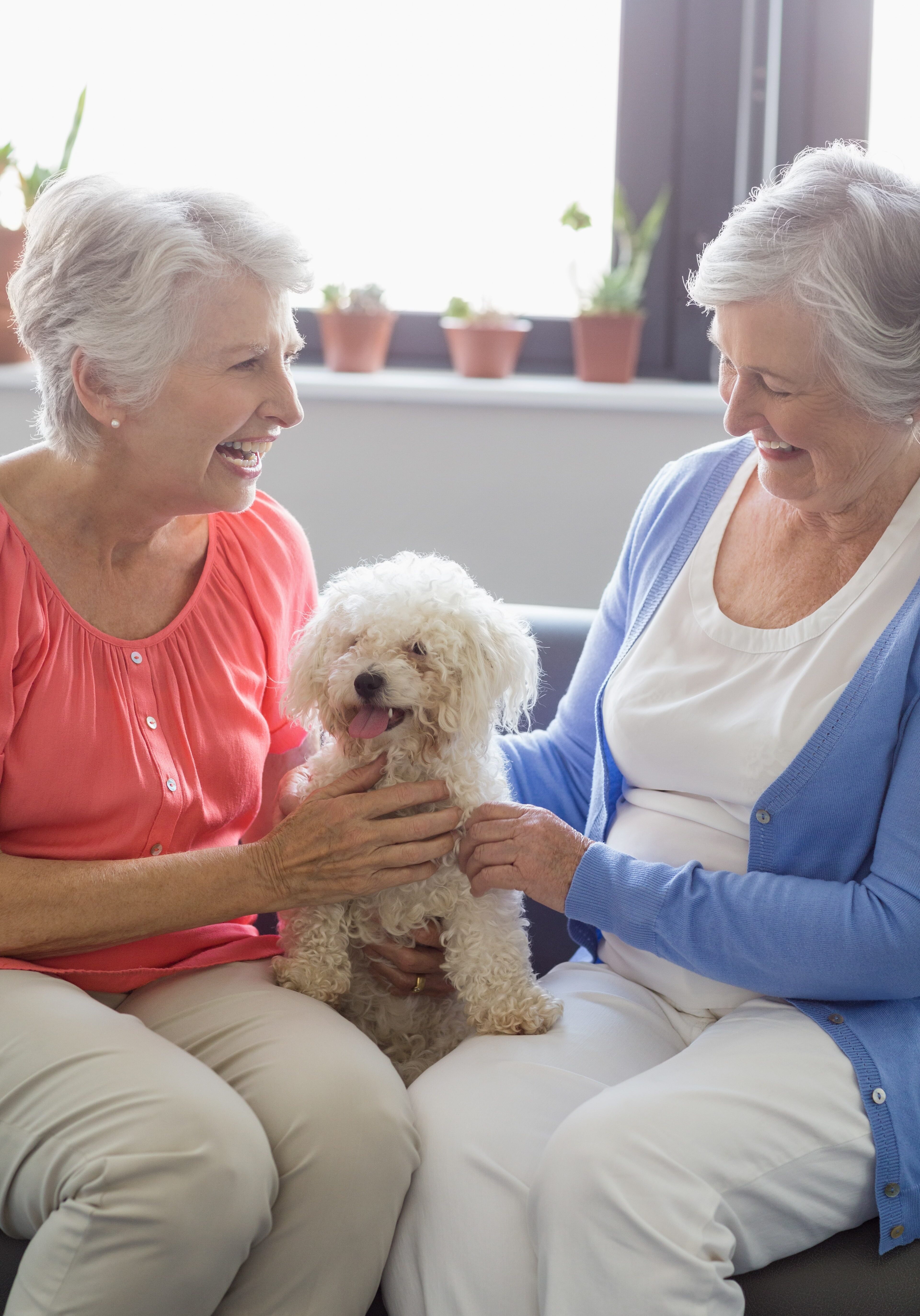 Senior women petting a dog